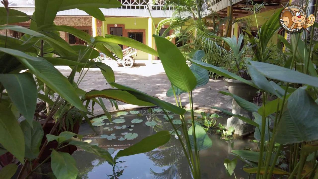 Kep Melting Potes Otel Dış mekan fotoğraf